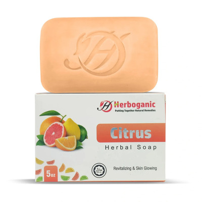 Citrus Herbal Soap - 5oz